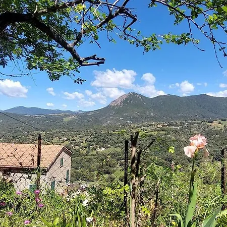 Usupranu Maison De Village A 15 Mn De La Apartman